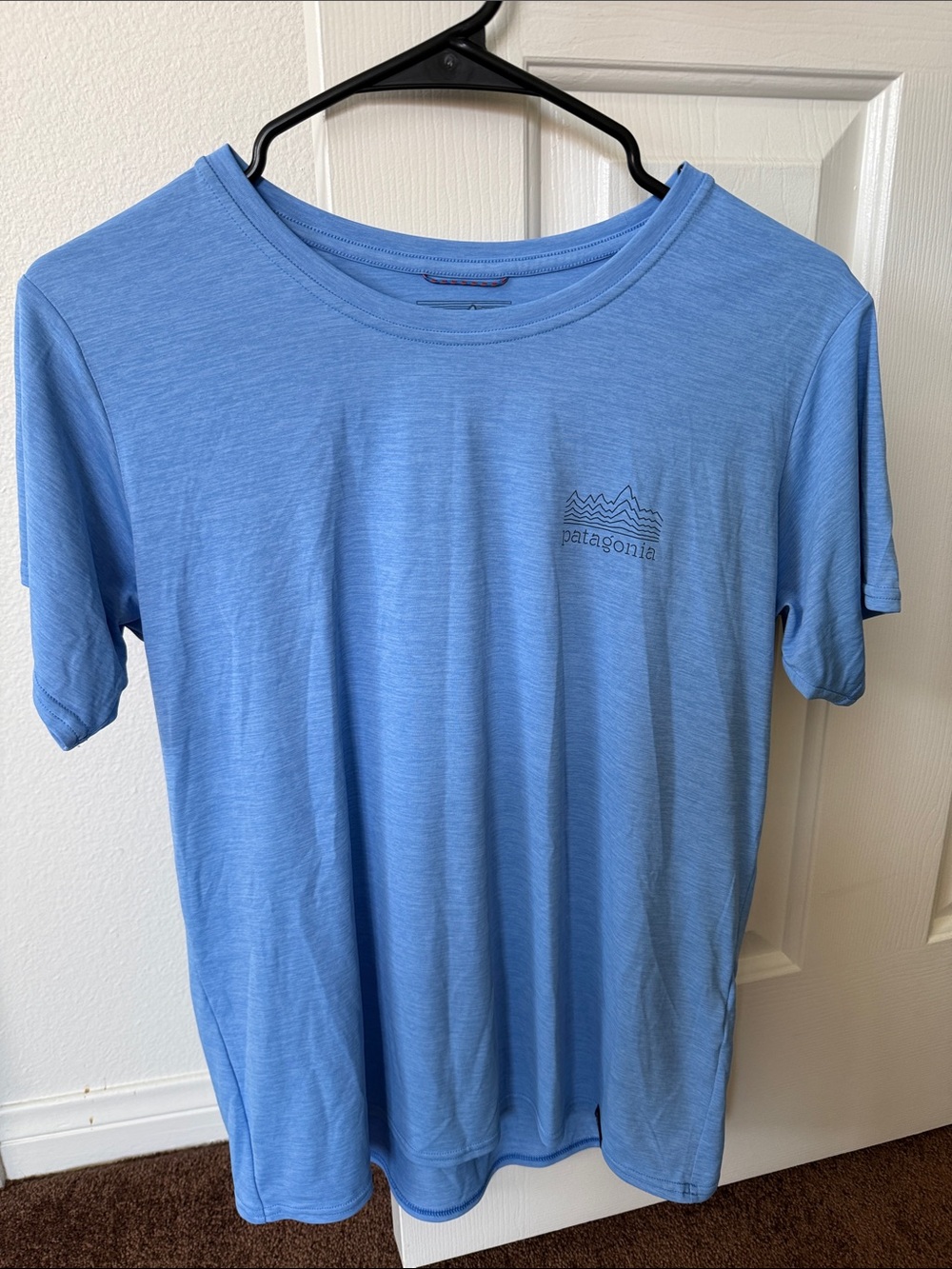 Patagonia Women’s Light Blue Short-Sleeve Tee with Small Logo
